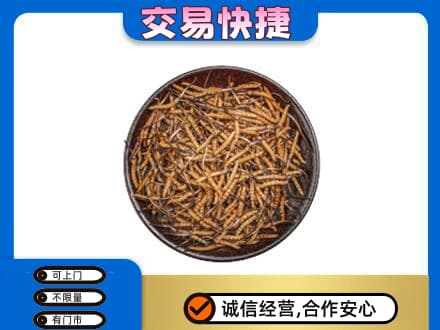 金昌高价回收散虫草